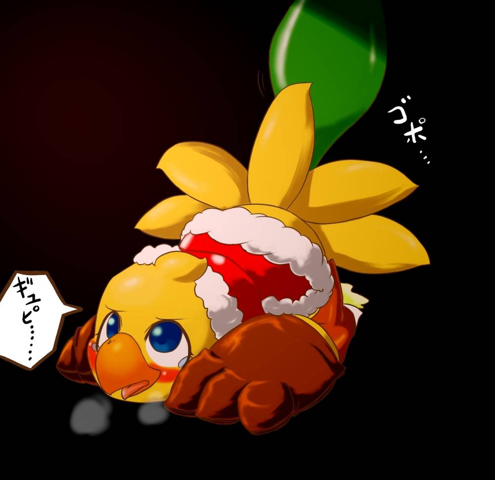 bokochocobo
