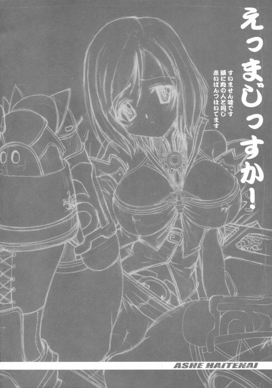 (C70) [Kakogawa-ya (Kakogawa Tarou)] ASHE HAITENAI (Final Fantasy XII)_02