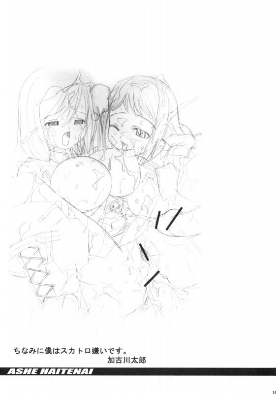 (C70) [Kakogawa-ya (Kakogawa Tarou)] ASHE HAITENAI (Final Fantasy XII)_17