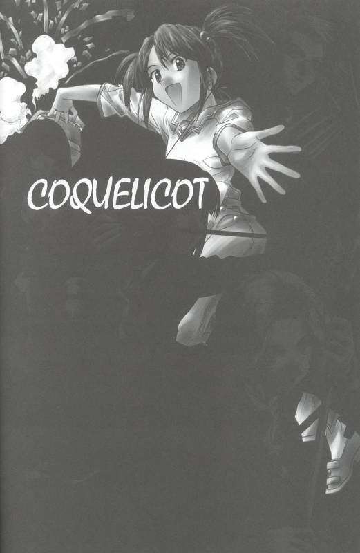 (C66) [IRODORI (SOYOSOYO)] Soyosoyo's Works - Uraraka (Final Fantasy X, Sakura Taisen)_26