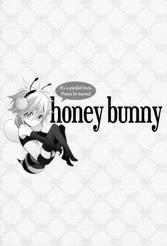 (C81) [Kiki (Fujiwara Beni)] Honey Bunny (Final Fantasy VII) [English] [Black Sky Scans]_01