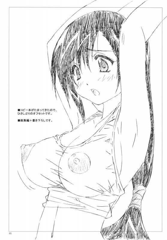 (C83) [Shinjae Iinkai (Mukasa Kouki)] Velvet Voix IV (Final Fantasy VII)_02