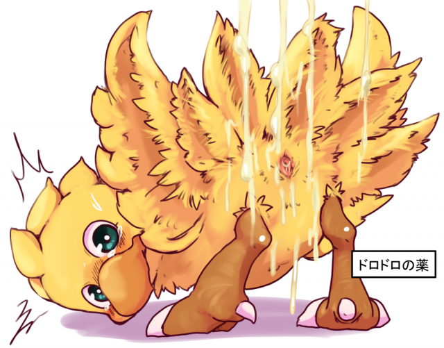 chocobo